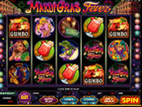 Mardi Gras Fever Video Slot